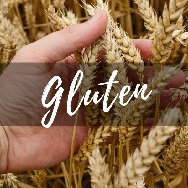 Gluten – what is it?