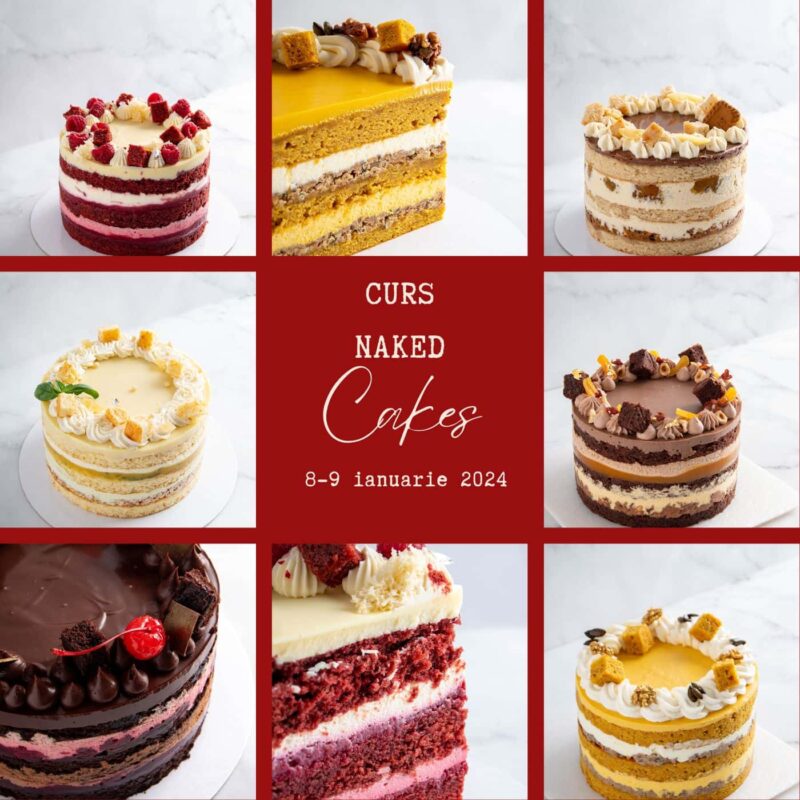 Curs Naked Cakes